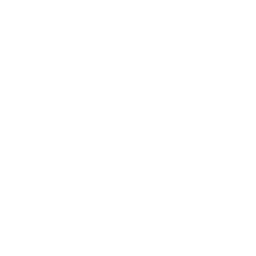 025-decentralized-icon